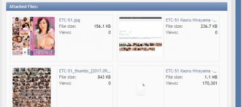 ETC-51 downloads.JPG