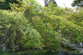 Kamakura 041.jpg