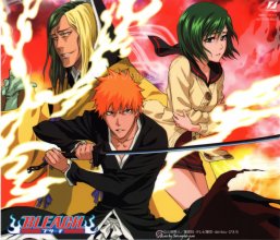 Bleach-Season-15.jpg