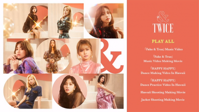 20191122.1950.5 Twice - &TWICE (Type B) (DVD.iso) menu.png