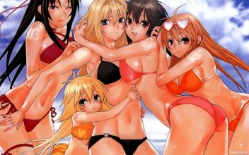 600220-sekirei_swimsuit_wallpaper.jpg