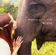 20200201.1615.47 Kokia Where to go my love (2013) (FLAC) cover.jpg