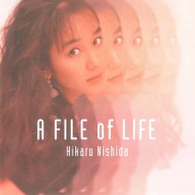 20200326.0208.12 Hikaru Nishida A File of Life (1995) (FLAC) cover.jpg