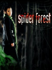 Spider Forest-.jpg