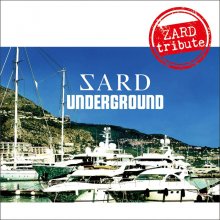 20200708.0226.07 Sard Underground ZARD tribute (FLAC) cover.jpg