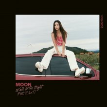 20201117.0640.05 Moon Walk in the Night (2020) (FLAC) cover.jpg