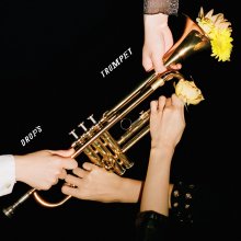 20201111.0721.02 Drop's Trumpet (2019) (FLAC) cover.jpg