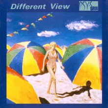 20210214.1850.08 PSY-S Different View (1985) (FLAC) cover.jpg