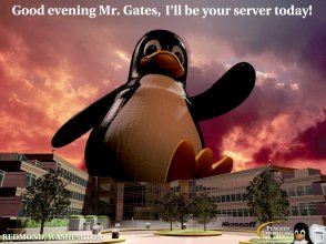 TuxServer-108808.jpeg