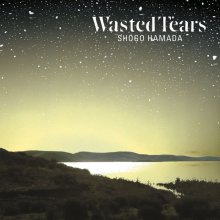 20210601.1139.7 Shogo Hamada - Wasted Tears (1989) (FLAC) cover.jpg