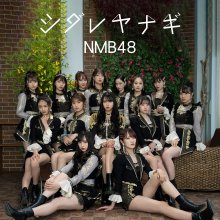 20210616.1813.4 NMB48 Shidare Yanagi (special edition) (2021) (FLAC) cover.jpg