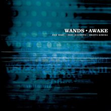 20211107.0322.20 Wands Awake (1999) (FLAC) cover.jpg