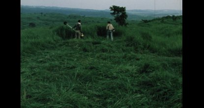 Work on the Grass.mp4_snapshot_35.15_[2022.06.03_15.31.15].jpg