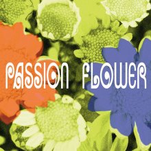 20220701.2003.1 T-Square (The Square) Passion Flower (2005) (FLAC) cover.jpg