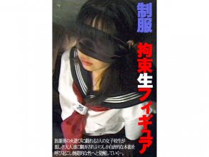 FE-336 cover.jpg