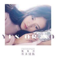 20230627.0013.07 Ju JingYi Yes or No (2017) (FLAC) cover.jpg