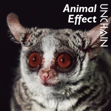 20231031.1535.09 Unchain Animal Effect (2021) (FLAC) cover.jpg