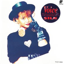 20231228.1652.40 Silk Voice (1991) (FLAC) cover.jpg