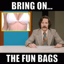 fun bags.gif