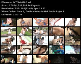 LCDV-40482s.avi.jpg