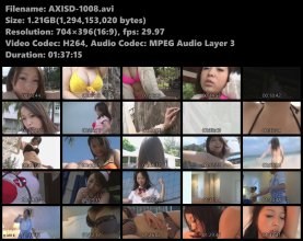 AXISD-1008s.avi.jpg