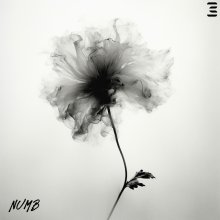 20241003.2212.03 E.SO Numb (2023) (FLAC) (H13MELGXBNX0GB) cover.jpg