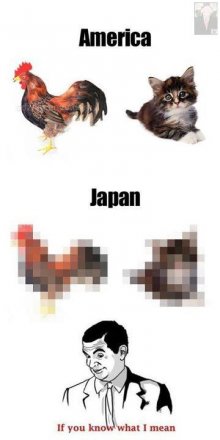 Japan-IfYouKnowWhatIMean.jpg