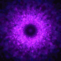 vortex+giphy.gif